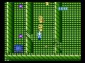 and then the game went to complete shit instead of just partial shit. looks like it belonged on action 52 after all!
