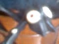 jackie se boi un ti dbk !! cette journay lui a donn� soif :p