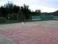 Tennishopalla