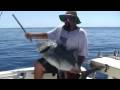 videos de Reef Ambition- Great Barrier Reef in a Trailer Boat