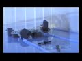 The Dark Knight Trailer. IN LEGO!!!
