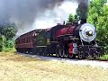 Texas State Railroad NRHS runby