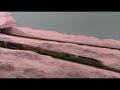 Trains Running Through the Scenery & Layout Tour (Part 2)