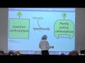 Fatty Acid Synthesis