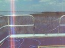 set off on airboat ride lake cypresss florida
