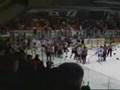 Chicoutimi vs Rouyn bench brawl Feb 10, 2008