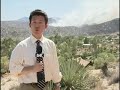Yucca Valley Wildfires - Thumb #3