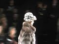 Milano Moda Donna 2008: sfilata Simonetta Ravizza (II parte) Milano Moda Donna 2008: sfilata Simonetta Ravizza (II parte)