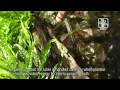 The easy plant akvarium, Tropica Aquarium Plants