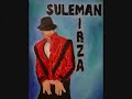 wwestevo07:Suleman Mirza Painting