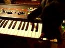 MARCEL plays with TELEPATHE