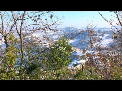 20 DICEMBRE 2009 - La Neve a San Miniato-I parte.mov (ritrilly)