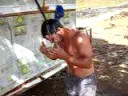 A.A.S DIABINHO DA TASMANIA SE BANHANDO