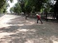 Cưỡi Đà điểu! Cưỡi Đà điểu!