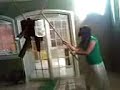 SOY DASSA SOFI