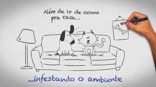 Effipro Dogs 03