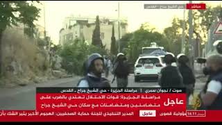 عن قرية عين كارم عن قرية عين كارم