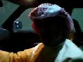 ليس الوحيدون ولاكننا الافضل ...