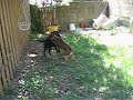 Izzy and Anya