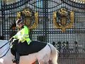 change-of-guards-at-the-buckingham-palace.html