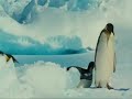 EL VIAJE DEL PINGUINO RODRIGUEZ