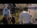 Click here to watch this video Child prostitution ring male arrested, Northmead