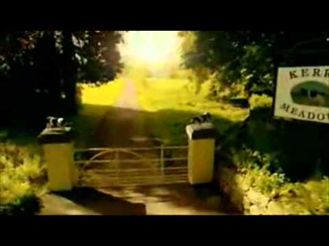 A-Z Animals Showreel See video