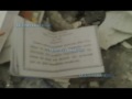 muerte de arturo beltran y cuerpo lleno de billetes.mp4