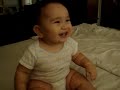 LUISITO MICHELIN