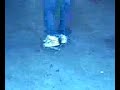 Kika 360 Flip Kika 360 Flip