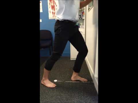 ankle
