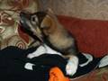 videos de Meie Betty