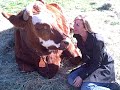 Farm Sanctuary Thanksgiving 2009