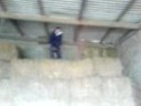 jordan being a mad farmer 3