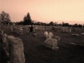 Dead Man's Bones- My Body's a Zombie for You (Carolyn's Video) - YouTube