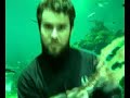 greenscreen test greenscreen test