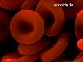 Montanari e le nanoparticelle Montanari e le nanoparticelle