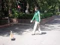 Coelho Bizarrón I Coelho Bizarrón I