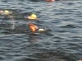 videos de Ardin Splash and Dash