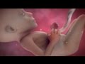 Inside Pregnancy: Girl or Boy? | BabyCenter Video