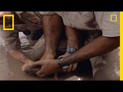 A medicina que causa impotência em homens