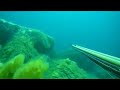 Spearfishing Pescasub Corb in the rocks