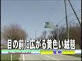 さくらもち動画3