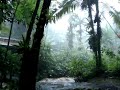 flash floods in El Yunque Rainforest