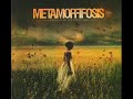 Luz en mi camino - Metamorffosis