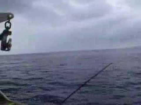 St kilda steaming through the Firth
