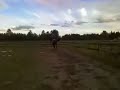 MarvinJumps