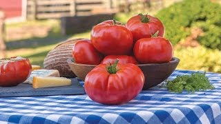 Burpee’s 'Madame Marmande' Tomato