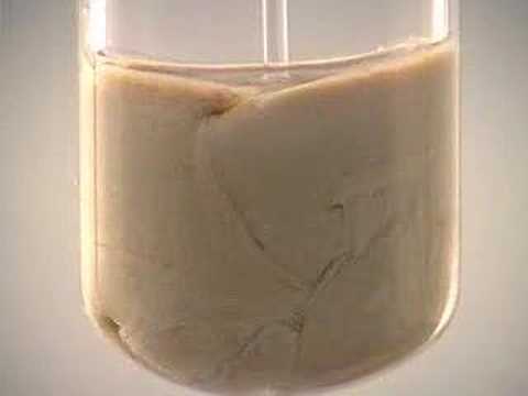 Reaction of Silver Nitrate with ...