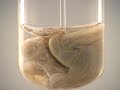 Reaction of Silver Nitrate with Sodium Hydroxide